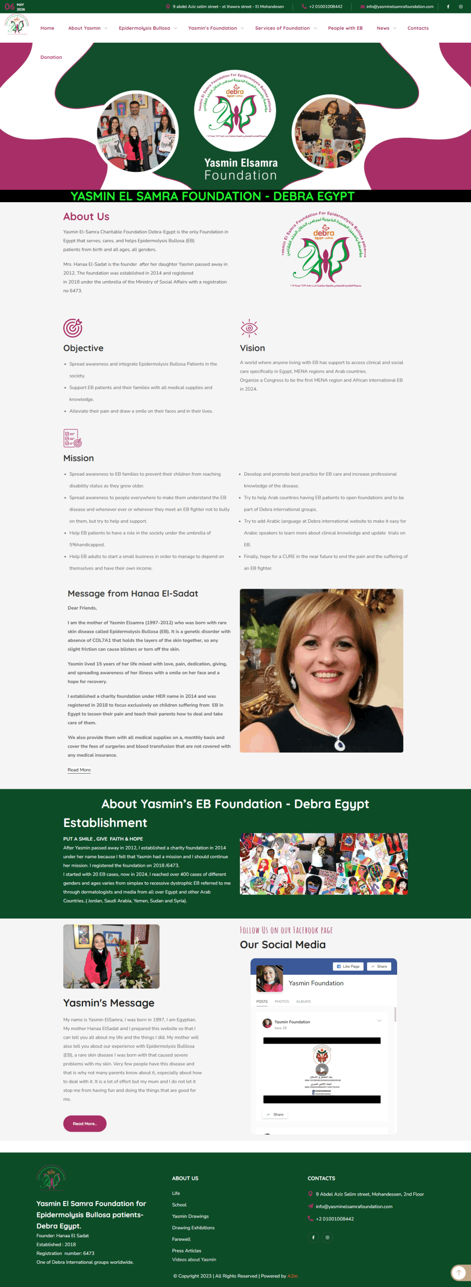 Website Project Preview